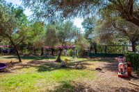 ParadisePark-29